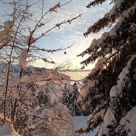Studio Au Clos Des Gentianes Collet D'Allevard公寓 外观 照片